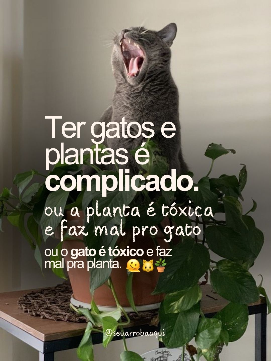 Exemplo de post do Clube 1