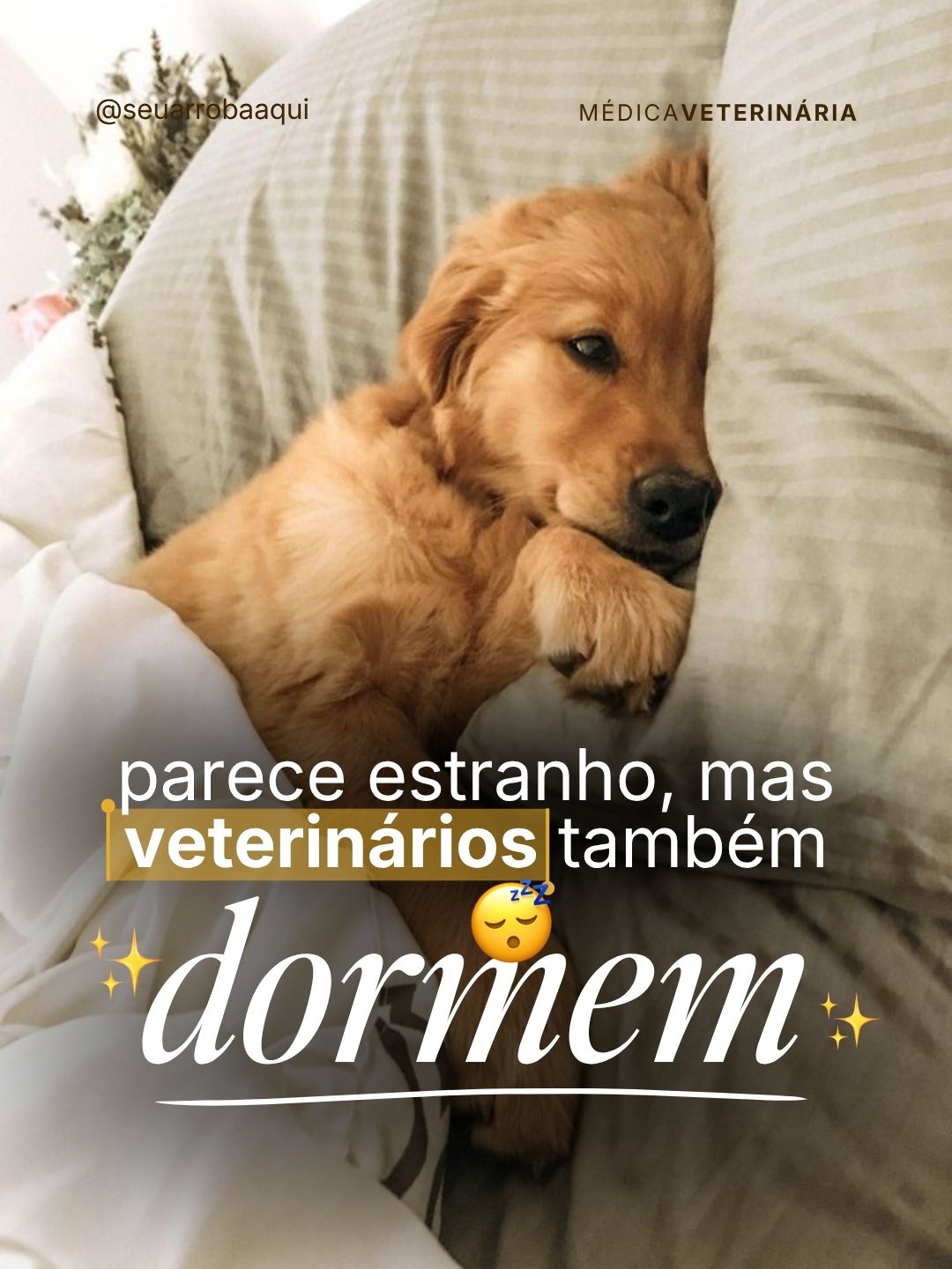 Exemplo de post do Clube 2