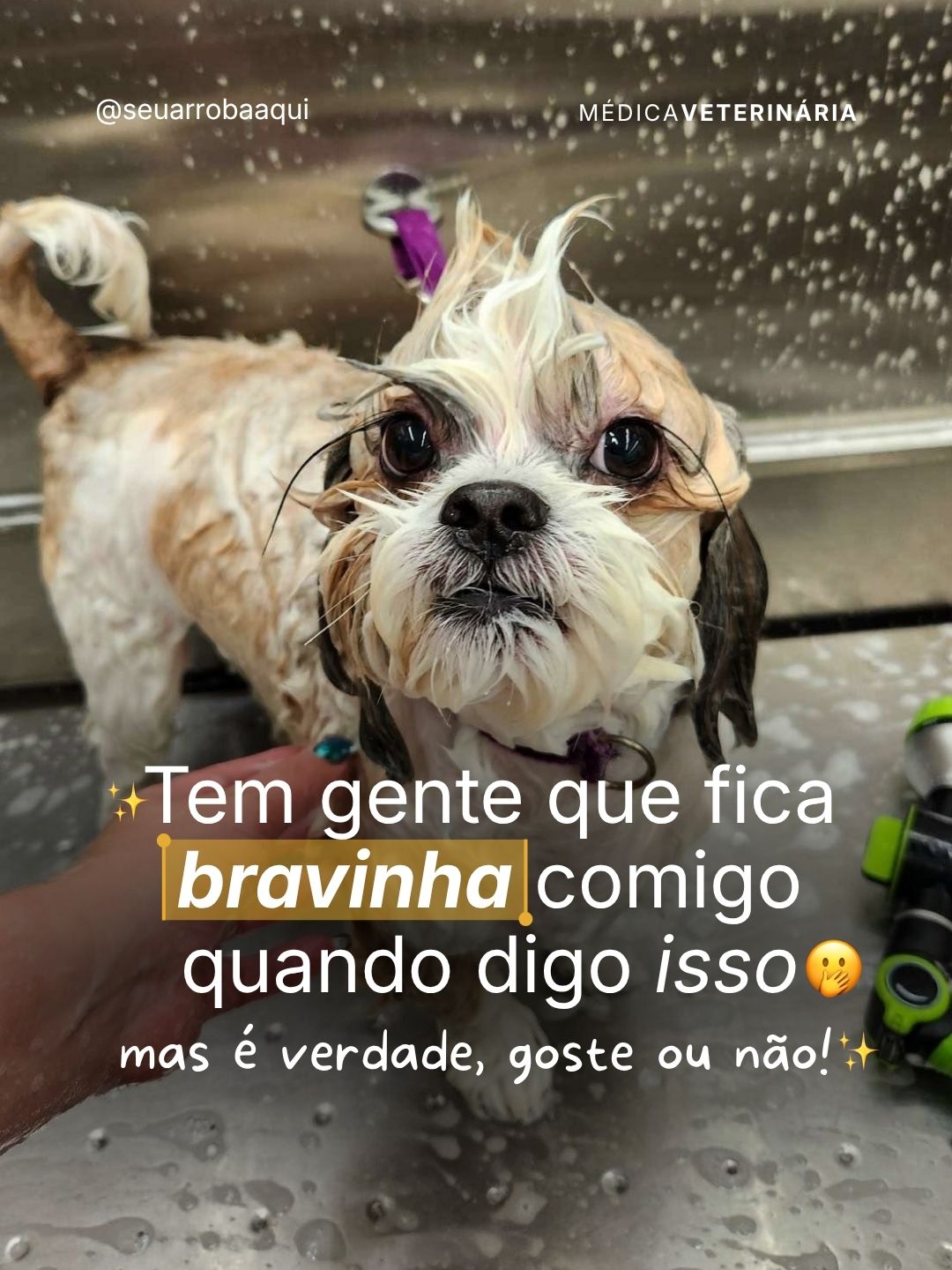 Exemplo de post do Clube 7