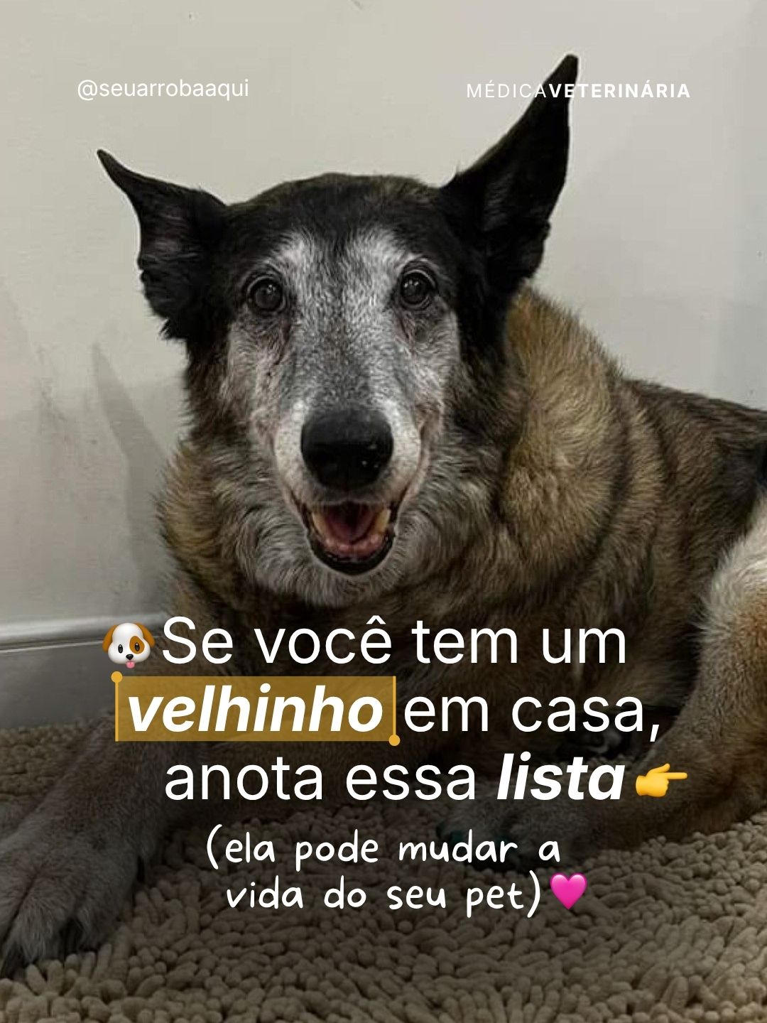 Exemplo de post do Clube 8