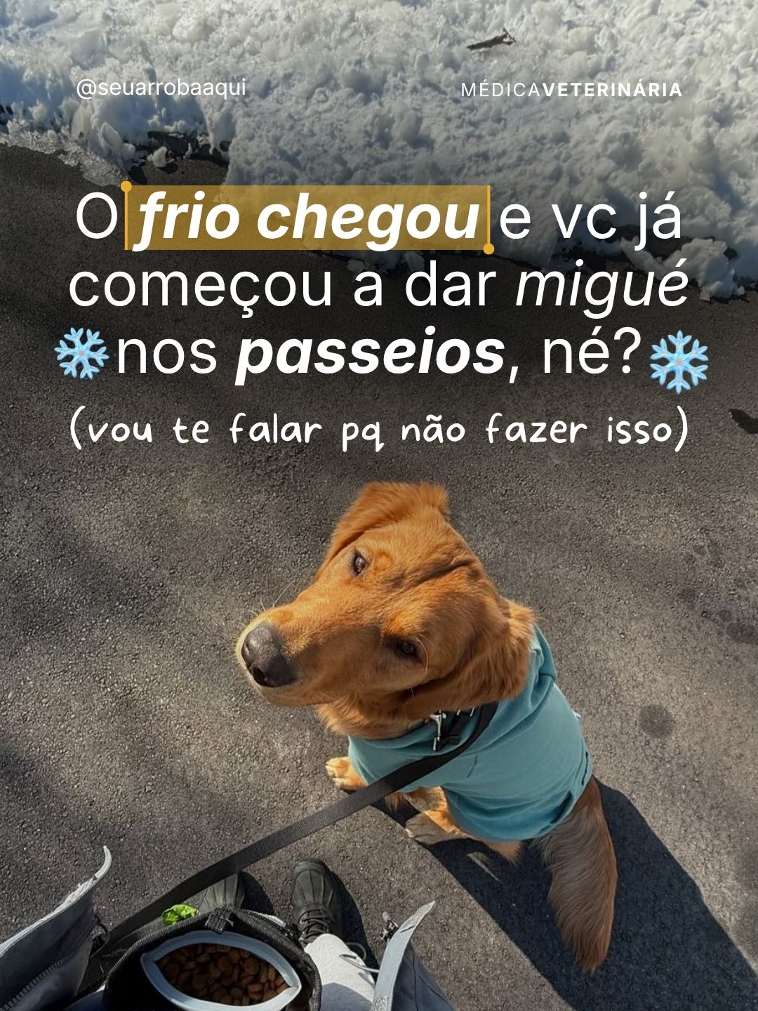 Exemplo de post do Clube 9