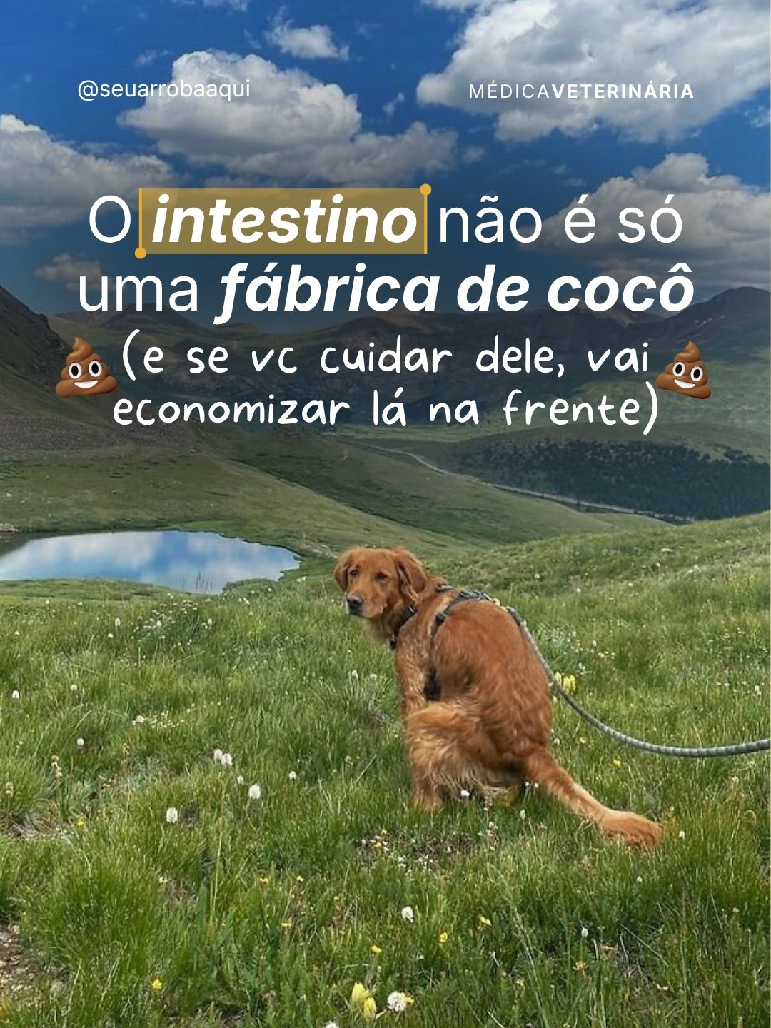 Exemplo de post do Clube 10