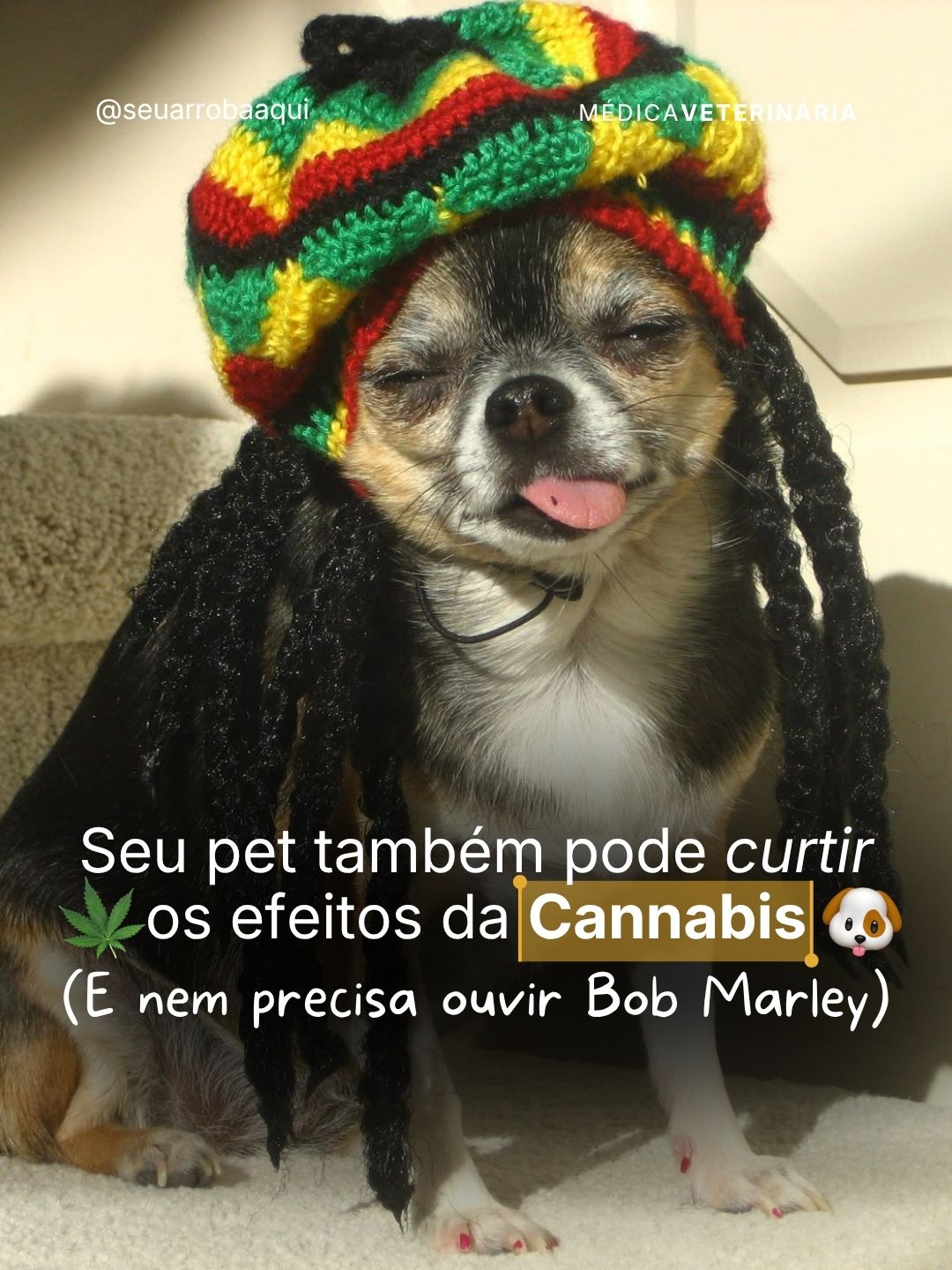 Exemplo de post do Clube 11