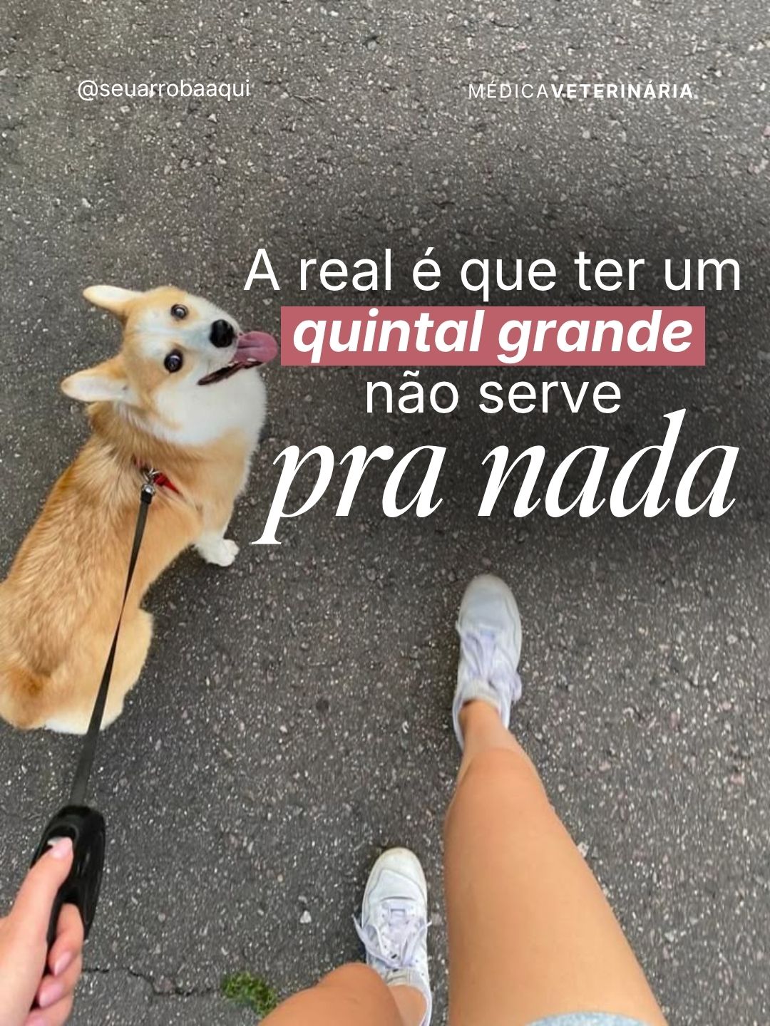 Exemplo de post do Clube 13